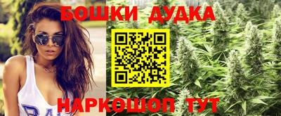 Альфа ПВП Будённовск