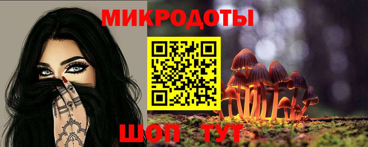 Псилоцибиновые грибы Psilocybe  купить   Электросталь  Вход с VPN 