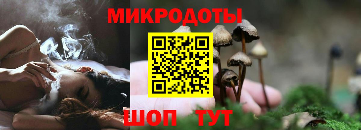 Псилоцибиновые грибы Psilocybe Электросталь